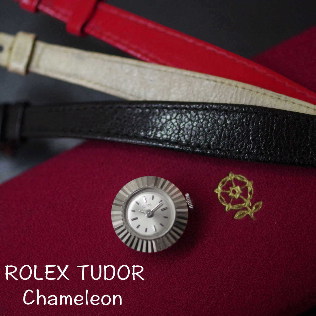 ROLEX TUDOR 　カメレオン　オリジナルベルト3本　化粧箱付き　アンティーク機械式時計　*3377tudor 