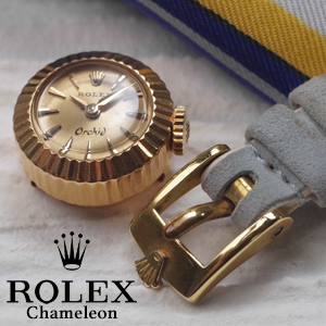 【2025年10月17日 金曜日入荷】Rolexカメレオン ブルーテッド 【2025年10月17日 金曜日入荷】Rolexカメレオン ブルーテッド