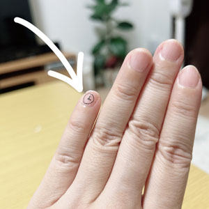 【ポールの追記】偉才で男前とか、推すぞ。の巻き 【ポールの追記】偉才で男前とか、推すぞ。の巻き